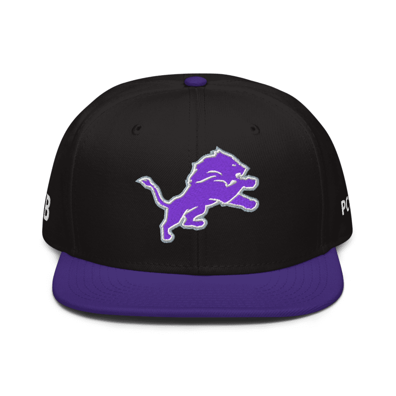 PC BASEBALL