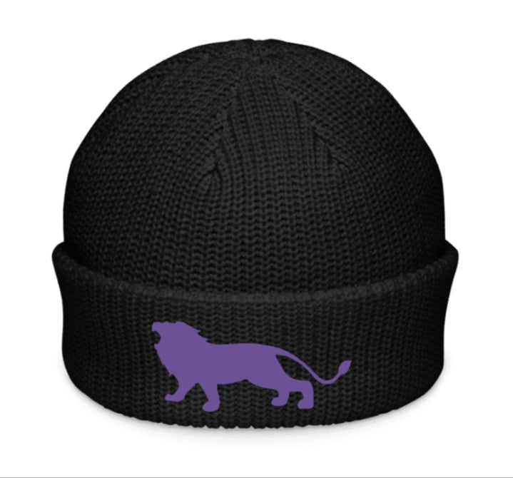 PC1X Beanie